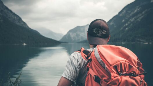 ecological trips